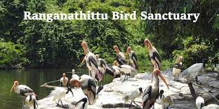 Ranganathittu Bird Sanctuary