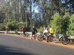 Cycling Tour