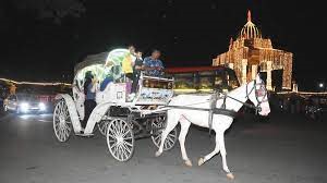 Embarking on a Traditional Tonga Ride Adventure