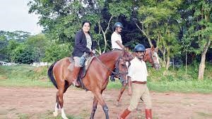 Embarking on a Traditional Tonga Ride Adventure