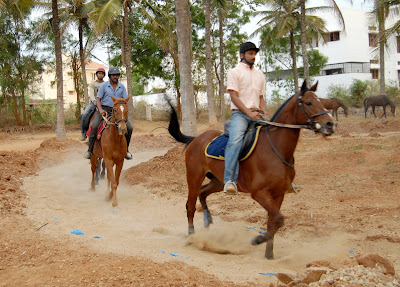 Embarking on a Traditional Tonga Ride Adventure