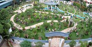 Kishkindha Moolika Bonsai Garden